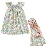 Simplee Kids Vestido Casual Para Bebês Meninas Com Estampa Floral Para Primavera- Verão- 1 A 6 Anos- A-rosa Azul- 2 Anos