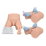 Simulador Cateterismo Vesical Adulto Bissexual