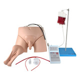 Simulador Cateterismo Vesical Lavagem Intestinal Bissexual
