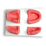 Simulador De Sutura Dental