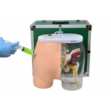 Simulador Eletrônico Injeção Glúteo Muscular Ossos