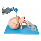 Anatomic
