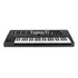 Sintetizador Waldorf Iridium Keyboard 49 key Synthesizer