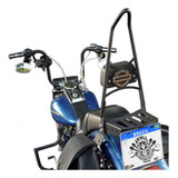 Sissy Bar Harley Davidson Softail Fatboy Até 2018 Easy Tx