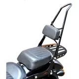 Sissy Bar Harley Davidson