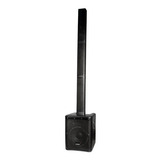 Sistema Amplificado Lexsen Lpa8