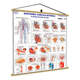 Medicina