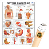 Enrolado