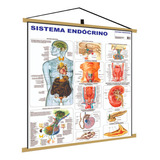 Medicina