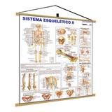 Medicina