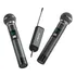 Sistema Microfone Sem Fio 2 Canais Portátil Digital Profissi