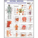 Medicina