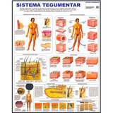 Medicina