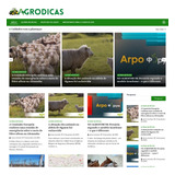 Site Monetizado Adsense Adx