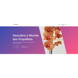 Sites Prontos Para Seu