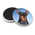 Sjt Enterprises, Inc Miniatura Pinscher 2.6 Coasters De Carr