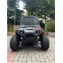 Smart 200 Cc   Buggy & Cia