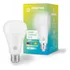 Smart Lâmpada Wi-fi Rgb+ 10w Casa Inteligente Positivo 110v/220v