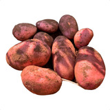 Só Batata De Fritura Asterix Selecionada Embalada Saco 25kg