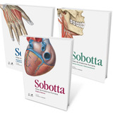 Sobotta Atlas De Anatomia Humana