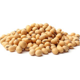 Soja Em Grãos Premium 2 Kg