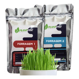 Solução Nutritiva Hidroponia Milho forragem 1000 Litros