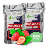Solução Nutritiva Para Hidroponia Morango 5000