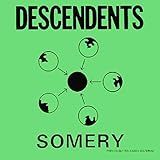 Somery Greatest Hits Descendents