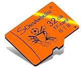 Somnambulist Cartão Micro SD Card 32GB