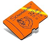 Somnambulist Cartão Micro SD Card 32GB