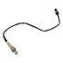 Sonda Lambda Diant. Esquerda Clk500 C240 Slk55 G55 Amg 01-11