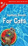 Soothing Sounds For Cats Music