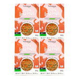 Sopa Low Carb Vegana Sem Glúten Emagrecer Holy Soup 4 Unid