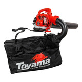 Toyama