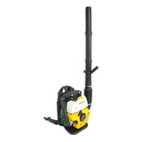 Soprador De Folhas Costal A Gasolina 2 Tempos Sv500 Id