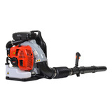 220v