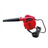 220v
