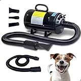Soprador E Secador Profissional Para Pets 2400W Com Acessórios Preto