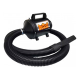 Soprador Secador 10 Pet Shop Banho E Tosa Profissional