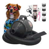 Soprador Secador Pet 2 Velocidades brinde Maquina De Tosa 