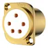 Soquete Xlr De 5 Pólos De Cobre Puro Banhado A Ouro 24k Cf2