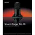 Sound Forge Pro 10 - Traduzido Para Português - Via Download