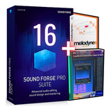 Sound Forge Pro 16 Suite   Izotope Rx9   Melodyne 5