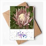 South Africa Lily Brodiaea Bem Vindo De Volta Cartões Envelopes Em Branco