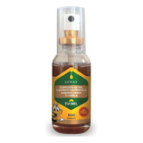 Spray De Própolis Com Cravo E Canela Evomel 30ml 3 Unidades