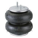 St861 Mola Pneumatica Suspensor
