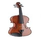 Stagg Violino Vn 3