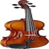 Stagg Violino Vn 3
