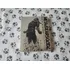 Steelbook Metal Gear Solid Guns Of The Patriots Ps3 ( Leia )