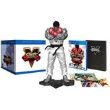 Street Fighter V Collector